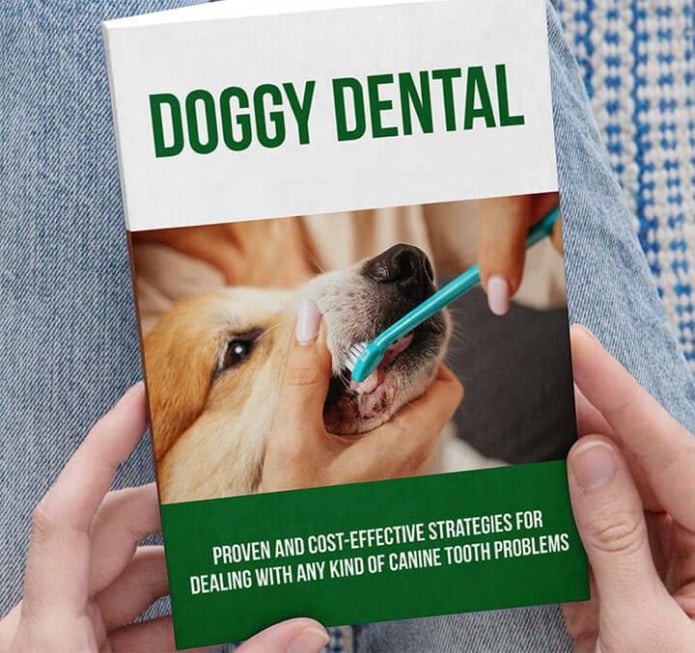 Bonus 2: Doggy Dental